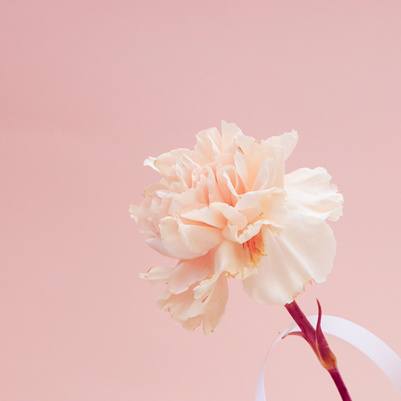 德阳市博物馆工会开展庆祝“三八”国际劳动妇女节徒步活动