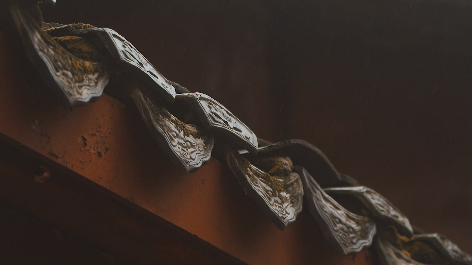 四季光影下的德阳文庙 | 秋礼(图12) 四季光影下的德阳文庙 | 秋礼(图12)