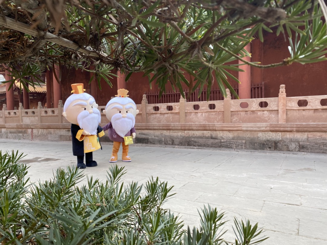 德孔夫子寻医记(图23)