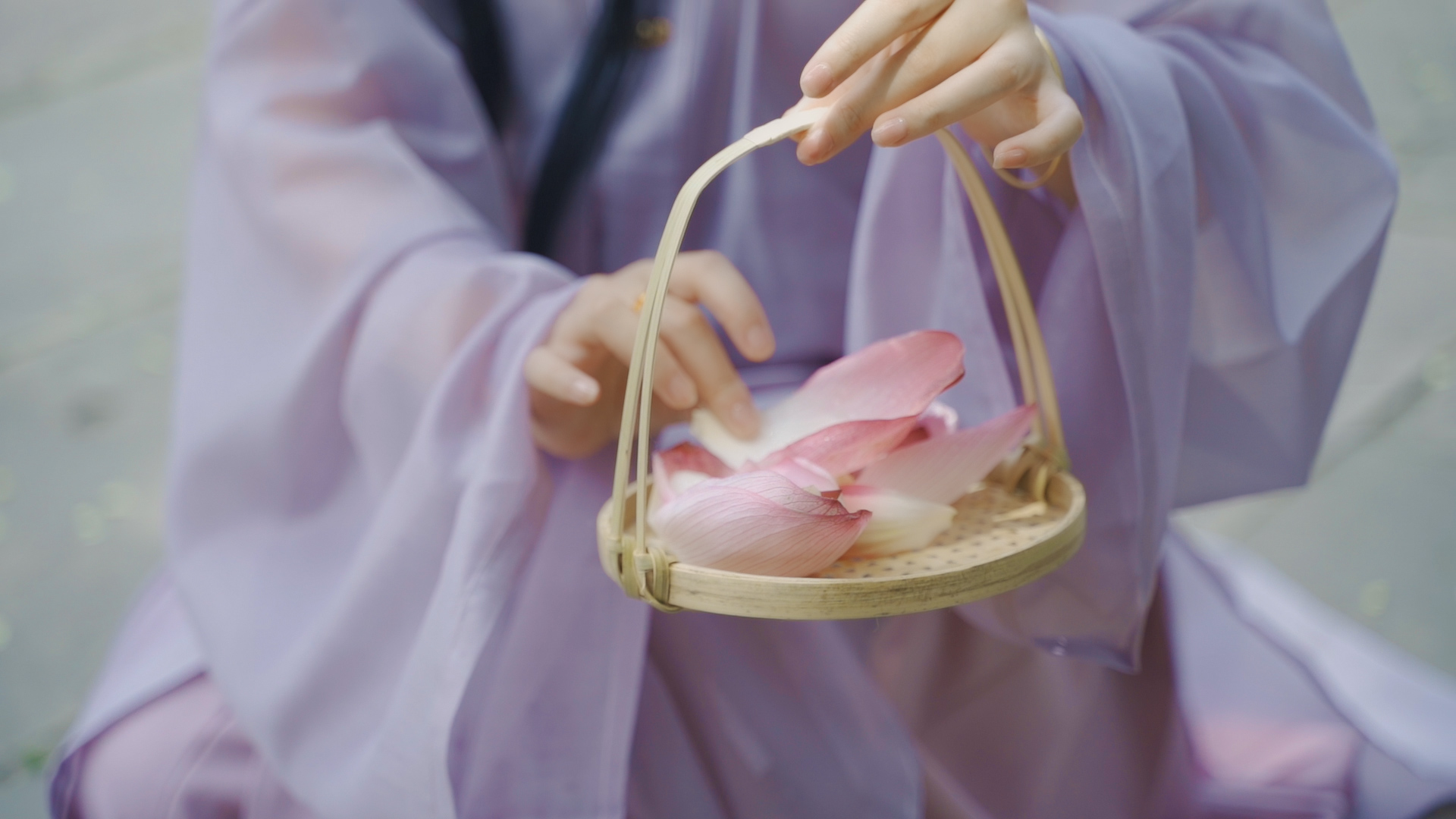 来文庙赴一场浪漫的约会吧(图6)