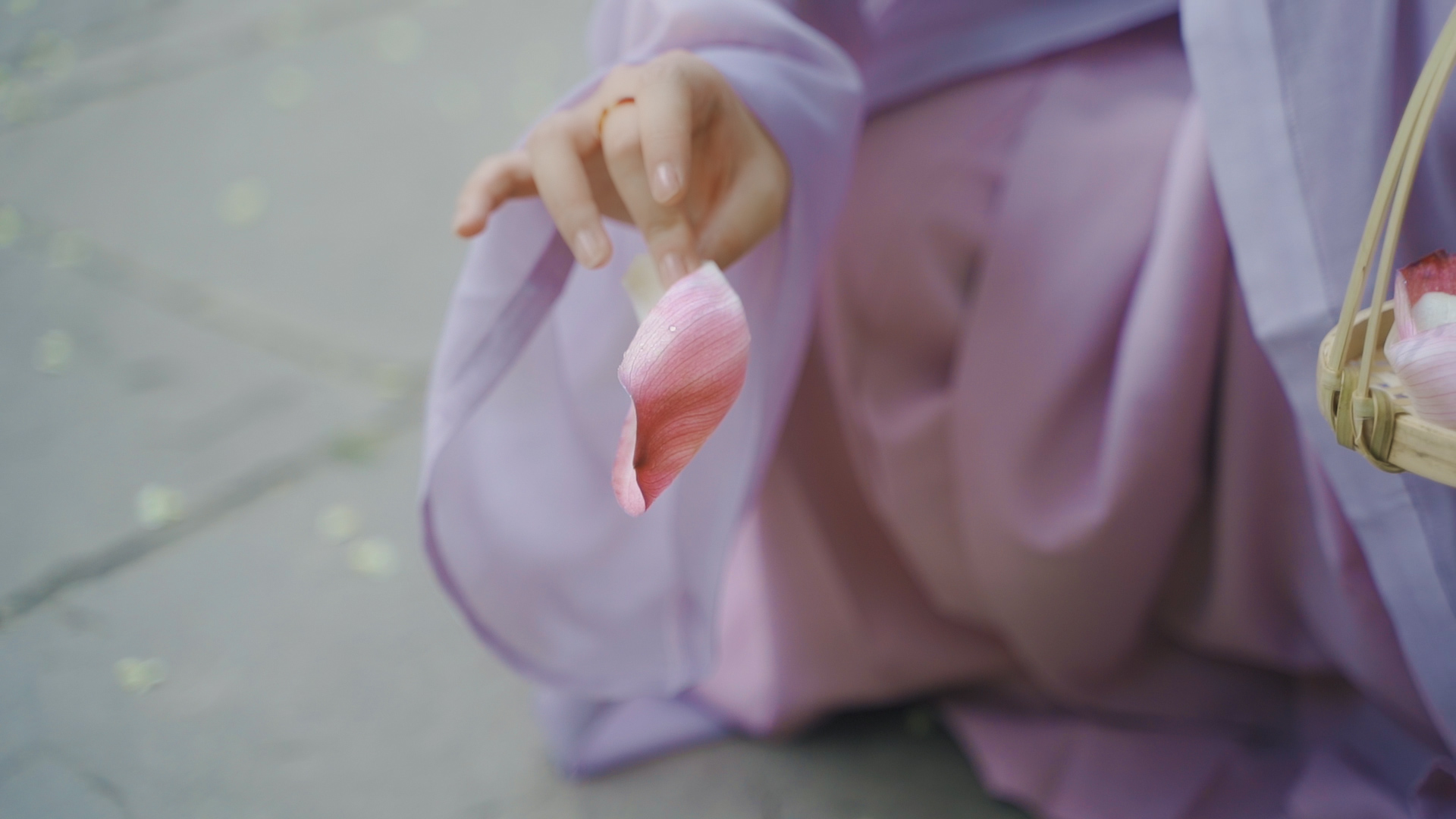 来文庙赴一场浪漫的约会吧(图9)