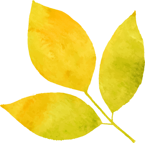 文旅人说文旅-------不一样的德阳文旅