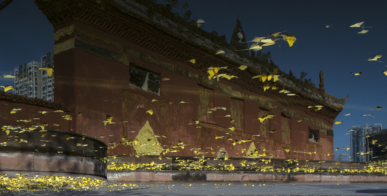 沉浸式体验德阳市博物馆与腾讯“繁星计划”的首次“亲密接触”