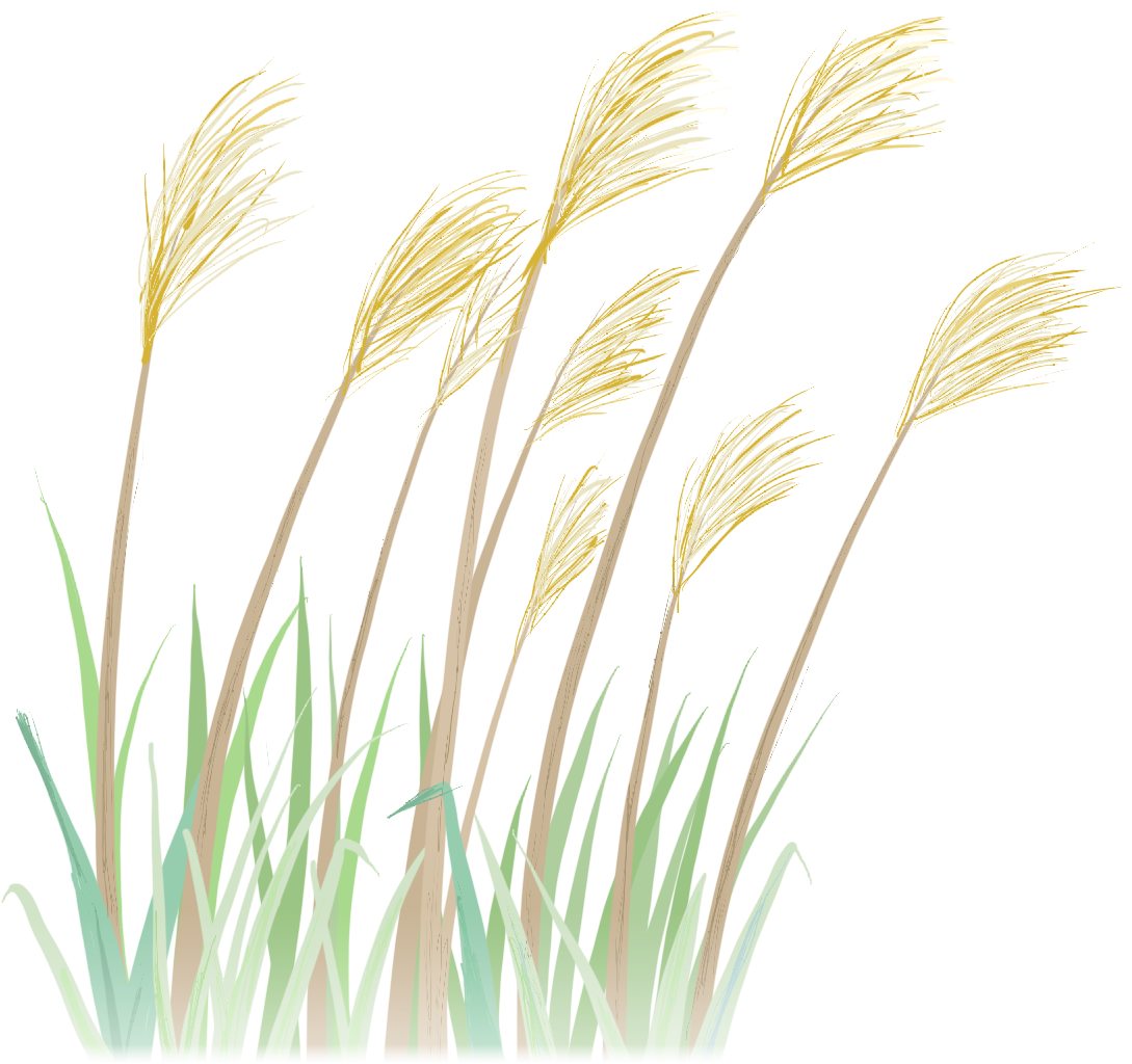 德阳文庙即将再现“穿越千年”的祭孔大典(图16)