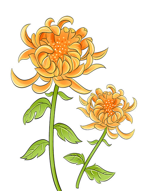 德阳市博物馆举行2023德阳文庙重阳赏秋传统民俗活动