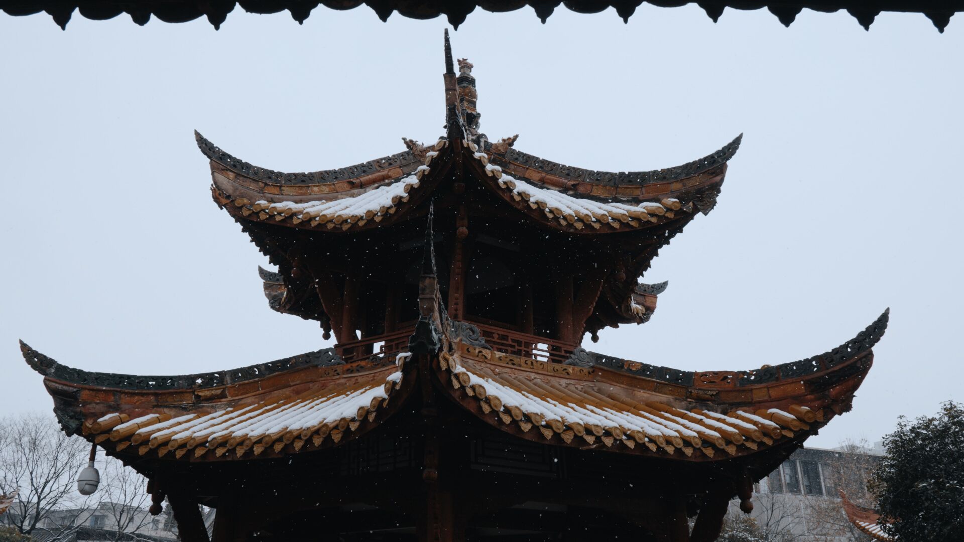 美哭了！德阳文庙的雪(图9)