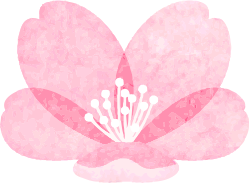 香港学生走进德阳文庙开展“释菜礼”研学旅行活动(图2) 香港学生走进德阳文庙开展“释菜礼”研学旅行活动(图2)