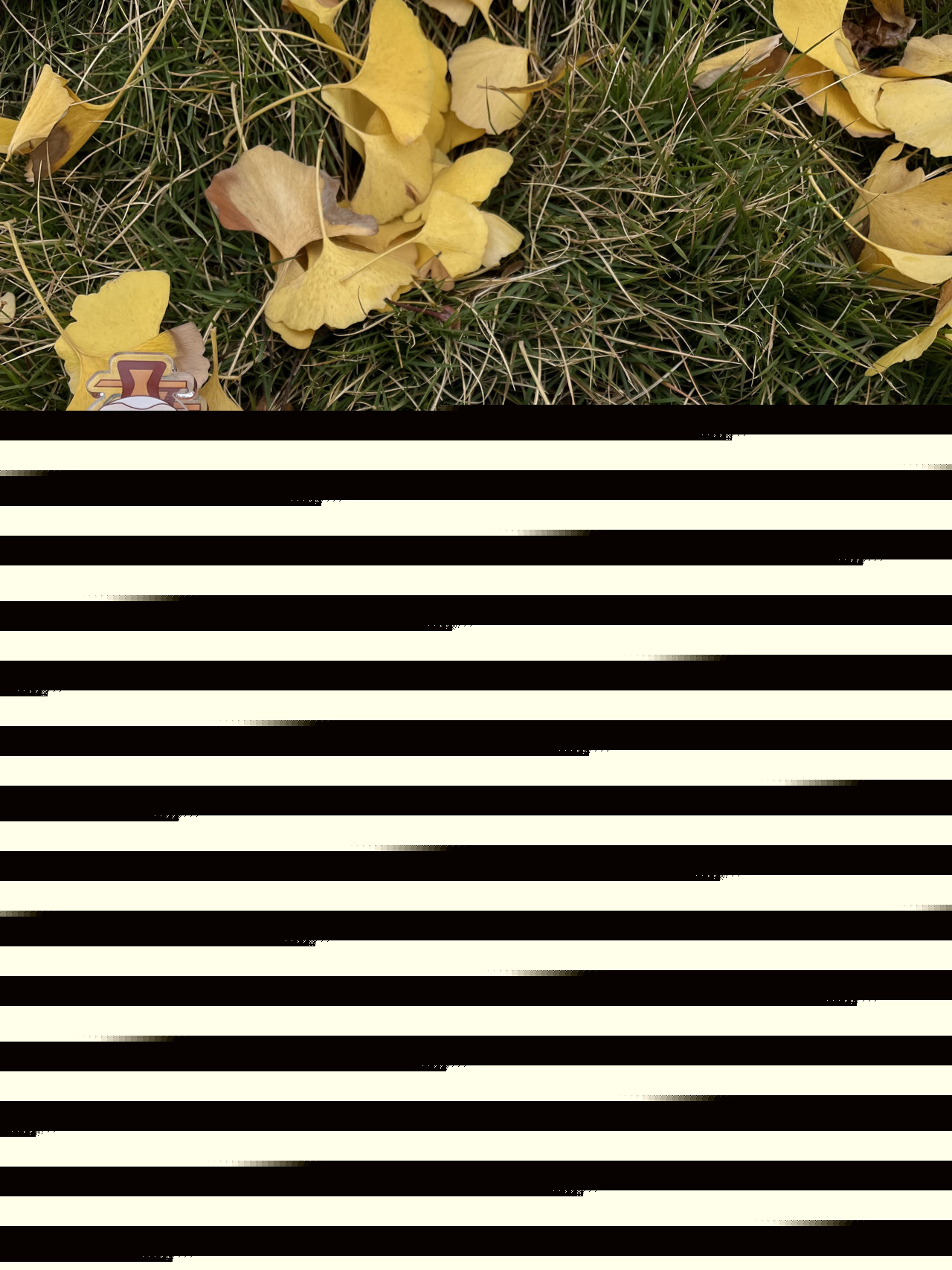 “事事如愿 文庙过年”2025德阳文庙新春大庙会超丰厚福利来袭，多种获取方式任你选，千万别错过！！！(图6)