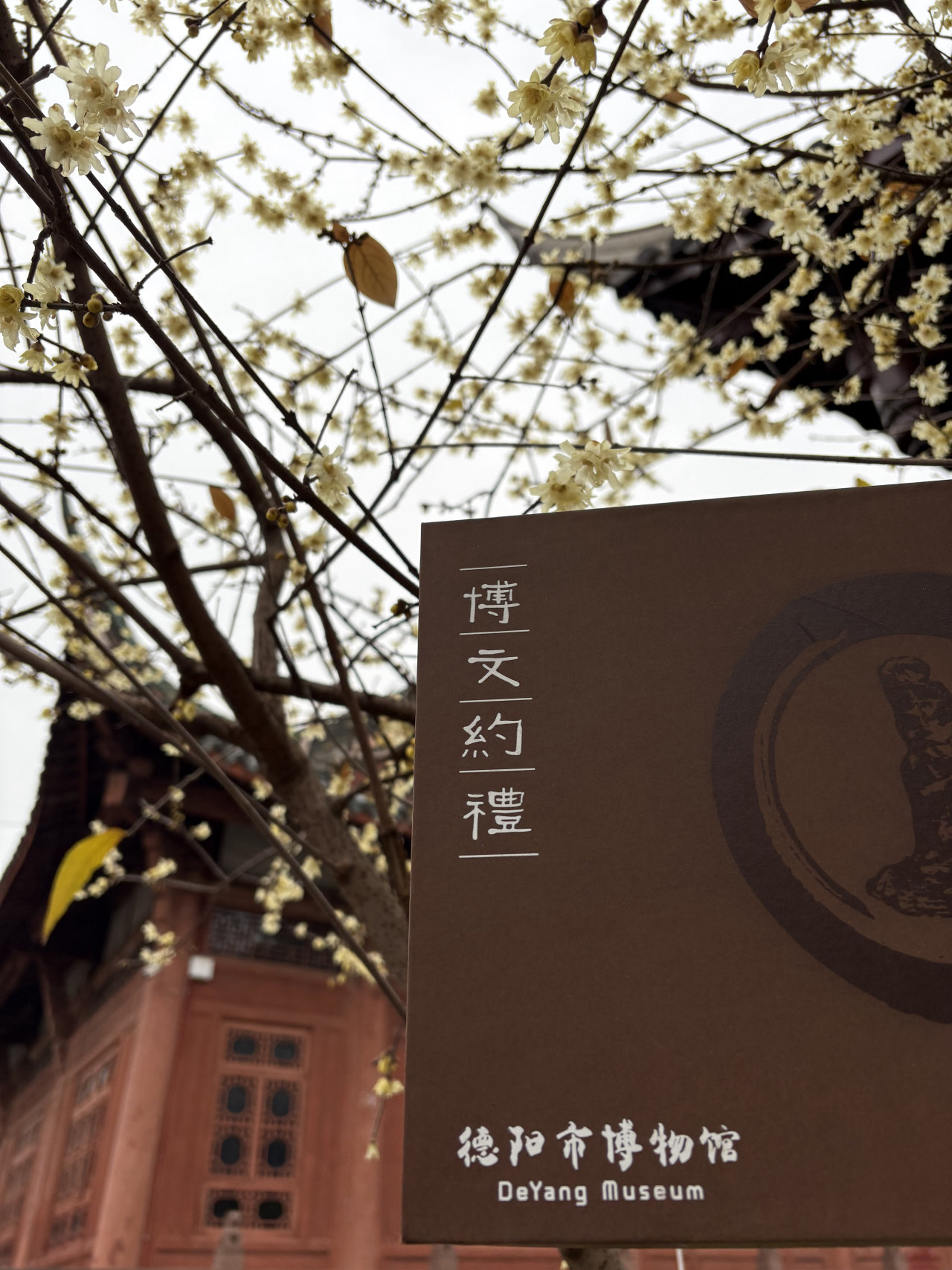 “事事如愿 文庙过年”2025德阳文庙新春大庙会超丰厚福利来袭，多种获取方式任你选，千万别错过！！！(图22)