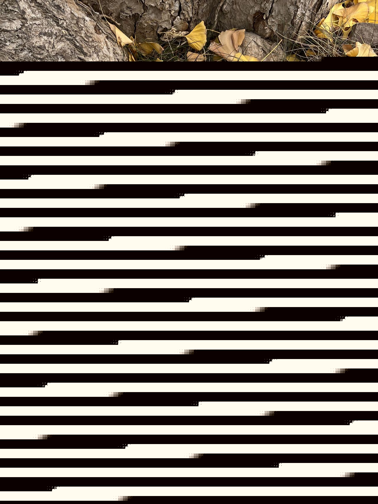 “事事如愿 文庙过年”2025德阳文庙新春大庙会超丰厚福利来袭，多种获取方式任你选，千万别错过！！！(图58)