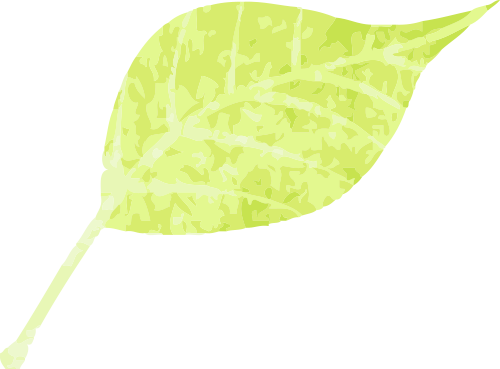 德阳市博物馆开展“学雷锋，志愿讲解伴你行”活动(图4)