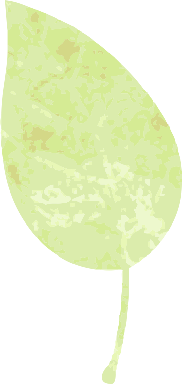 德阳市博物馆开展“学雷锋，志愿讲解伴你行”活动(图3)