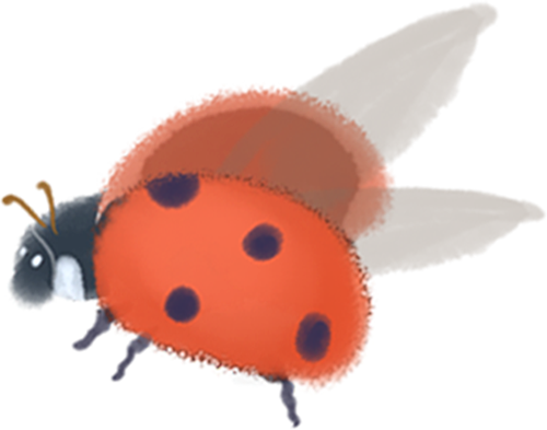 德阳市博物馆开展“学雷锋，志愿讲解伴你行”活动(图14)