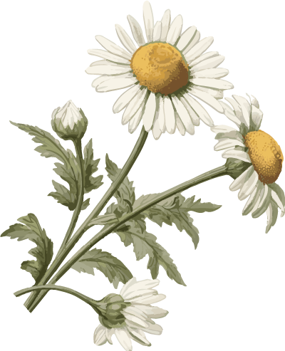 五一玩转德阳文庙｜穿越千年的文化狂欢盛宴，等你来打卡！