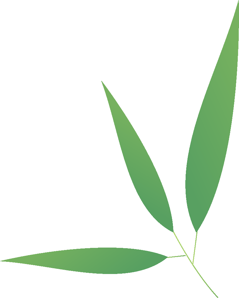 古韵流芳，礼润端阳｜丙午年德阳文庙端午雅