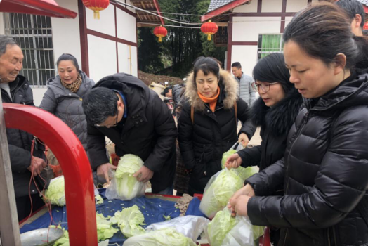 德阳市博物馆党支部开展“庆元旦·迎新春·送温暖”活动