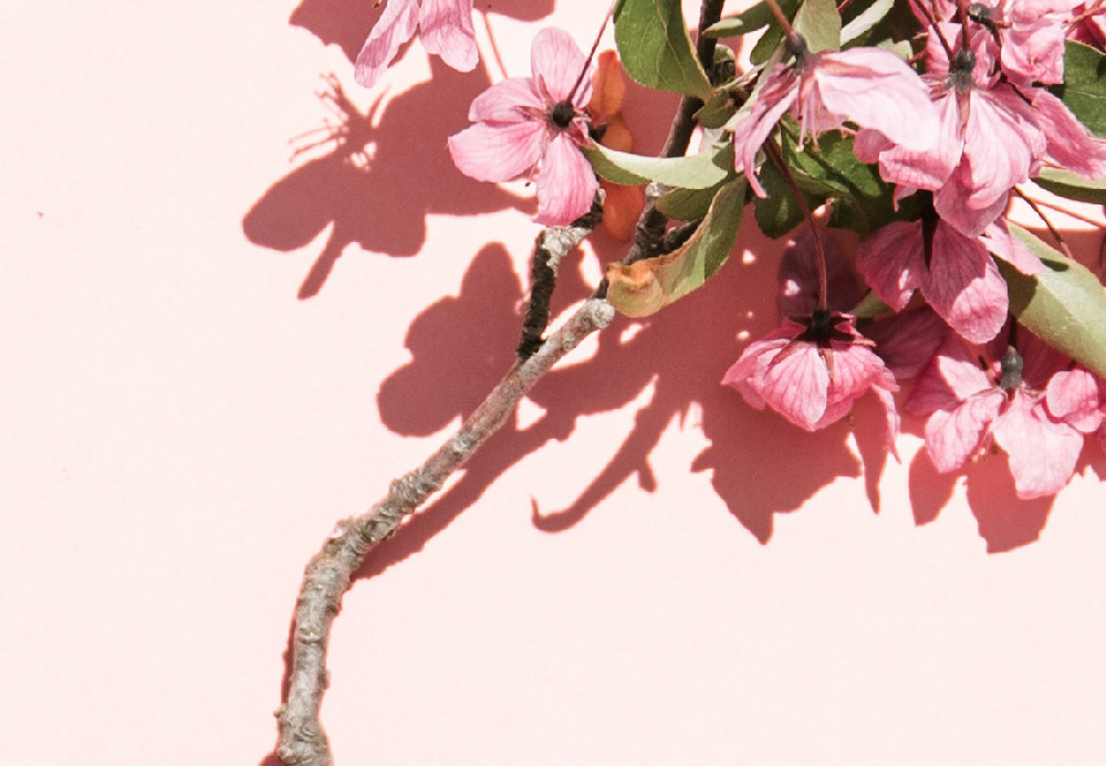 德阳市博物馆工会举办庆祝“三八”国际劳动妇女节活动